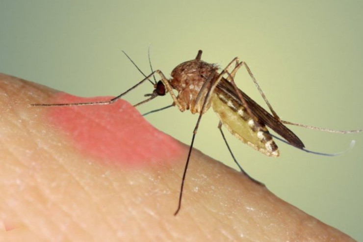 Yeni  təhlükəli virus   yayıldı - XƏBƏRDARLIQ - 400-dən çox yoluxan var