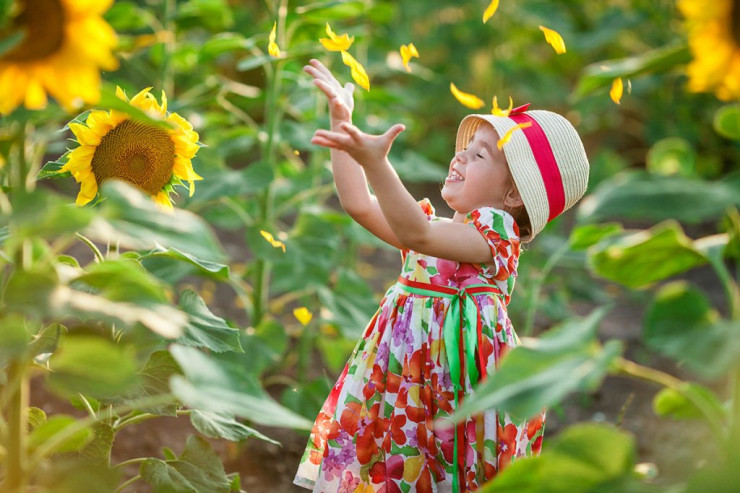 İyul ayının hava  PROQNOZU  