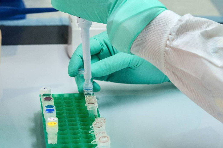 Mədəaltı vəzi xərçənginə qarşı yeni dərmanlar TAPILDI 