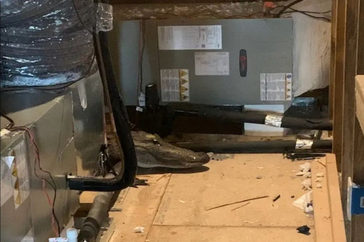 Evi yoxlayan müfəttiş ölümlə üz-üzə 