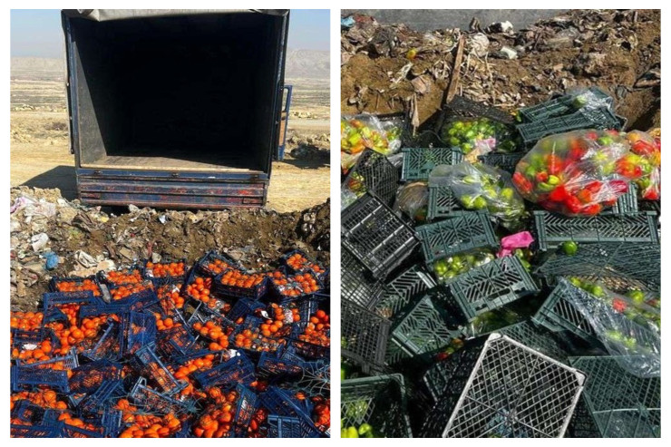 İrandan gətirilən məhsullar yararsız çıxdı