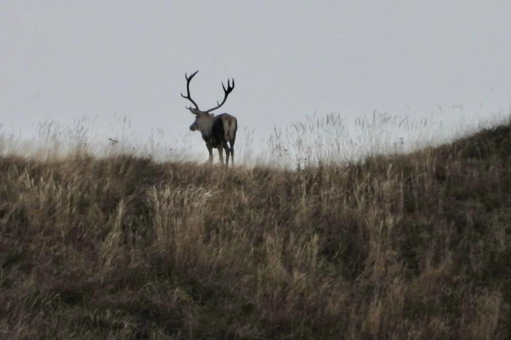 Zaqatala qoruğundan payız mənzərəsi - FOTOLENT 