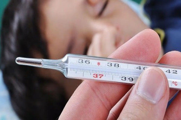 Denqe qızdırmasından yüzlərlə insan öldü