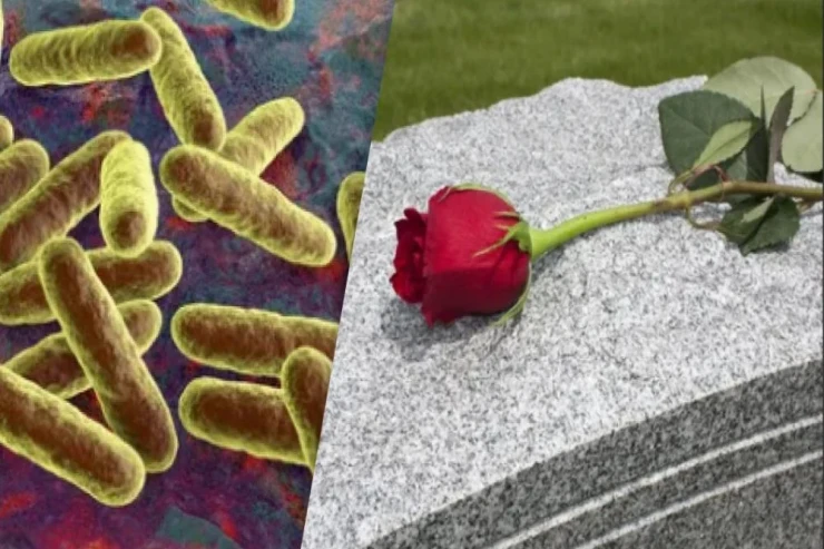 Ölümdən sonra  mikroblar orqanizmdə   yaşayır