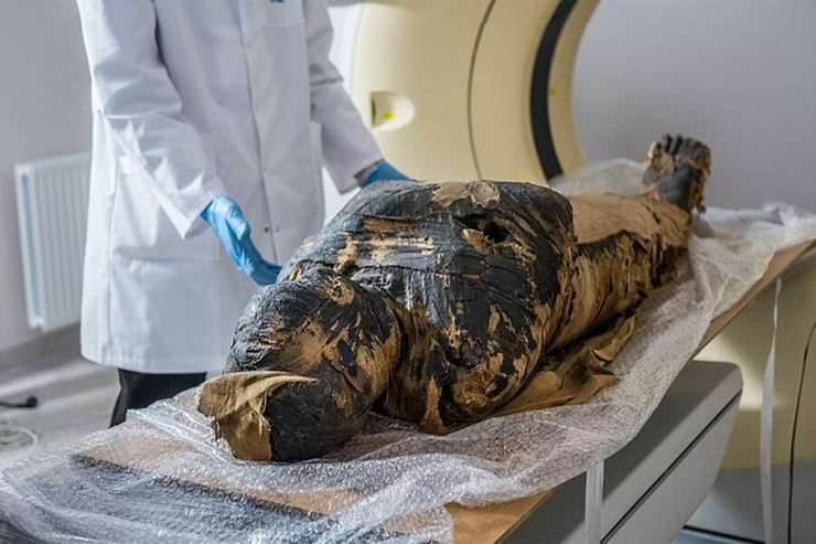 Misir zadəganları üçün mumiyalanma balzamı  yenidən yaradıldı