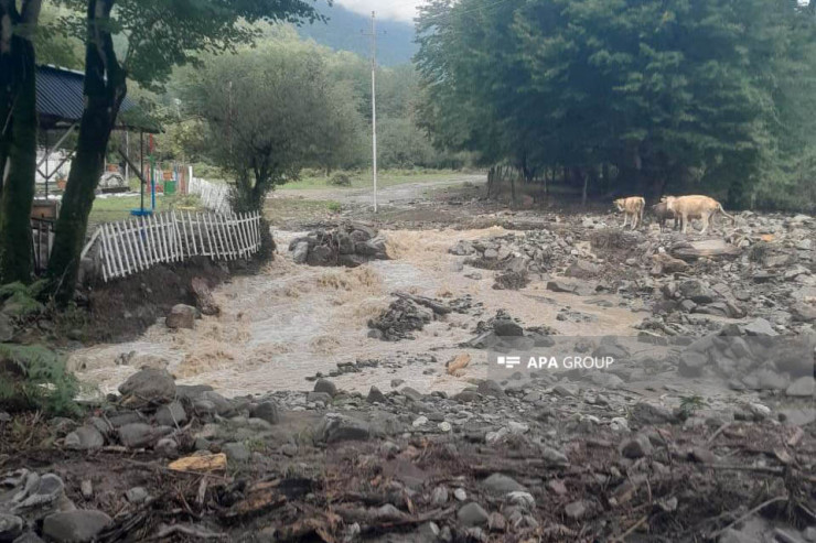 Leysan Oğuz yolları apardı -FOTO  -VİDEO 