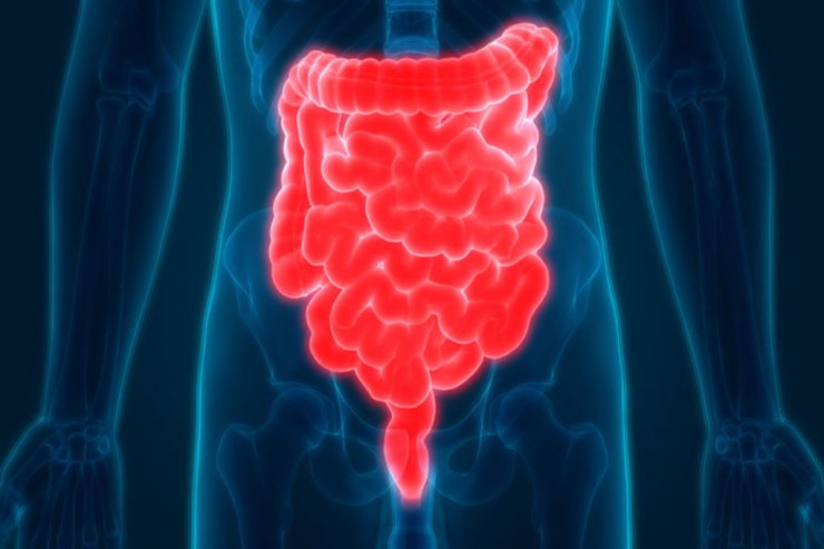 Bağırsaq üçün ən faydalı İÇKİ 
