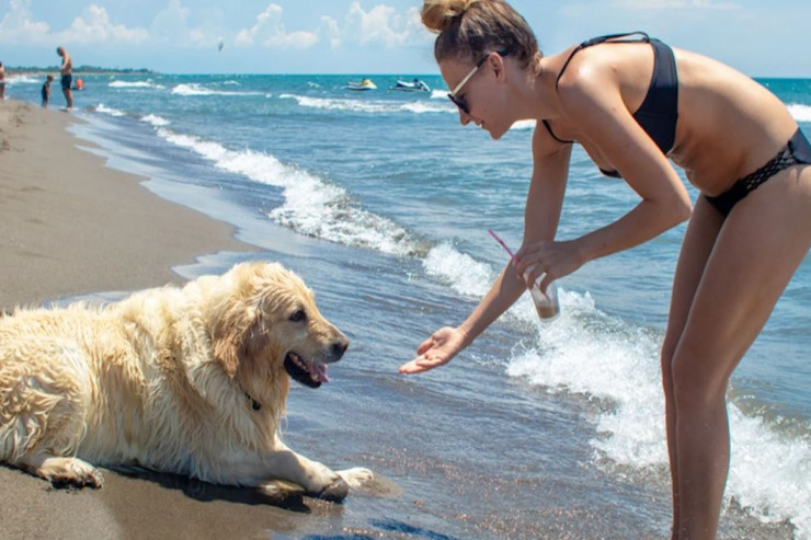 Yayda itə bunları VERMƏK OLMAZ 