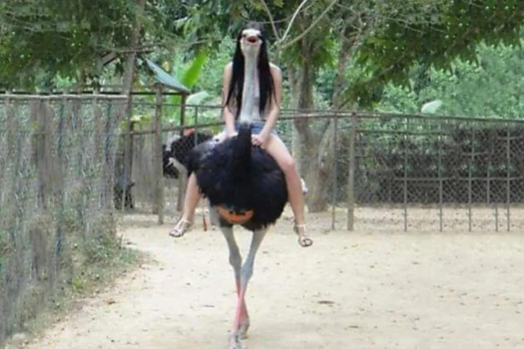 Əbədiləşən  FOTOLAR 