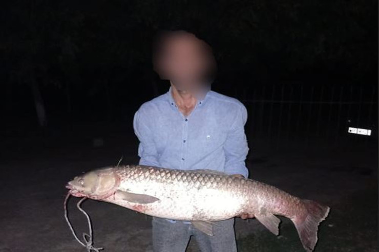 Azərbaycanda 14 kiloluq balıq tutdular - FOTO 