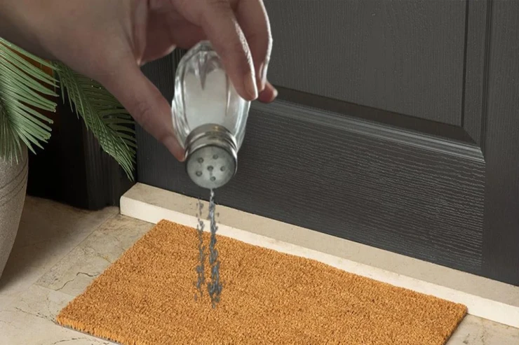 Qapının qabağına duz səpmək görün  nə işə yarayır...  