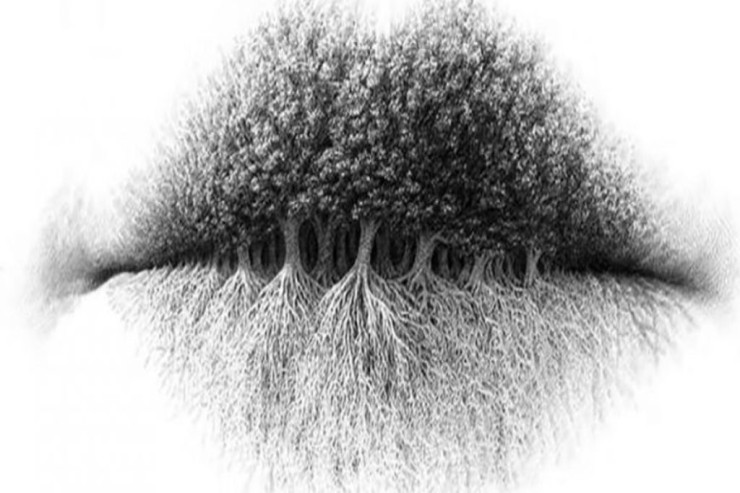 Şəkildə ilk  nə gördünüz?   Özünüz haqda  çox şeyi   aşkar edə bilərsiniz