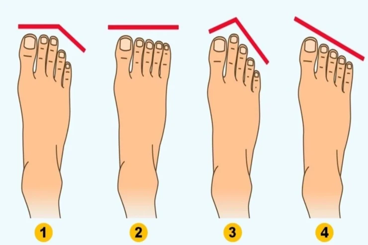 Ayaq şəklinə görə xasiyyətiniz necədir? 