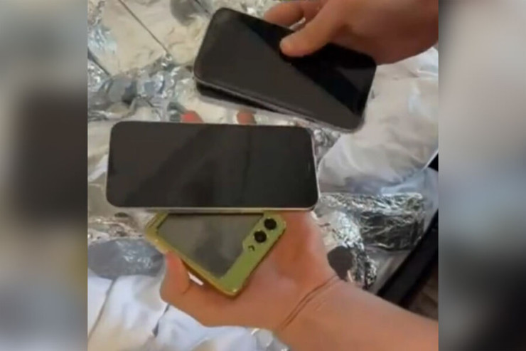 Musiqi festivalında bir günə 121 telefon oğurladı 