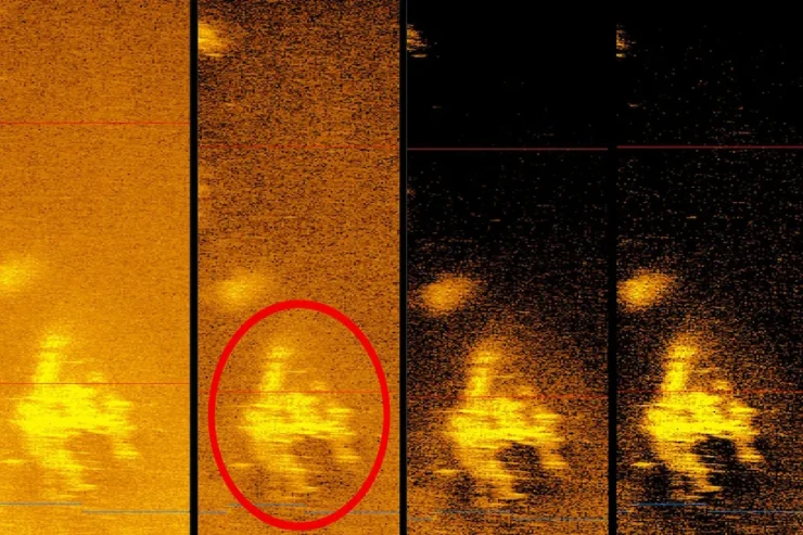 Sakit okeanda yoxa çıxan ilk qadın pilotun 87 il sonra QALIQLARI TAPILDI 