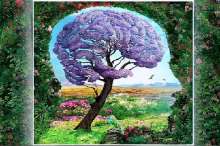 İstədiyin olacaq, ya yox?  -  Şəxsiyyət TESTİ 