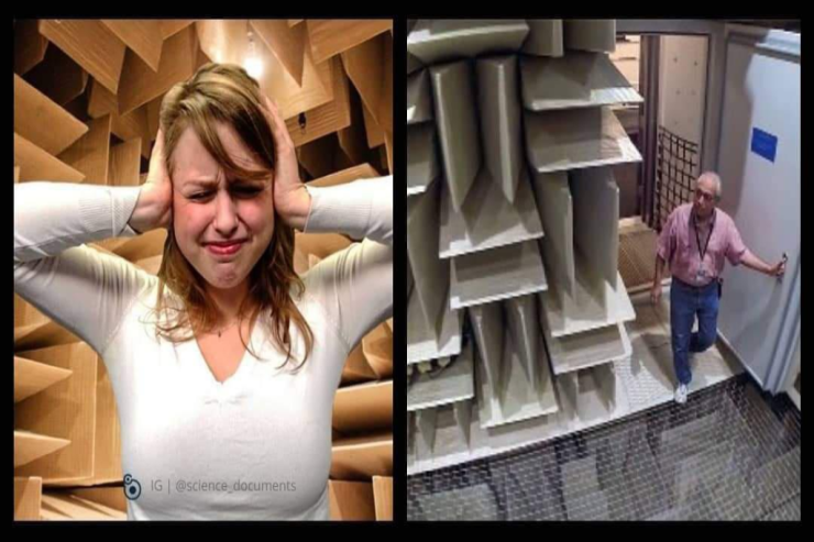 Dünyanın  ən sakit   otağı - İnsanlar 45 dəqiqədən sonra  dəli olmağa   başlayırlar 