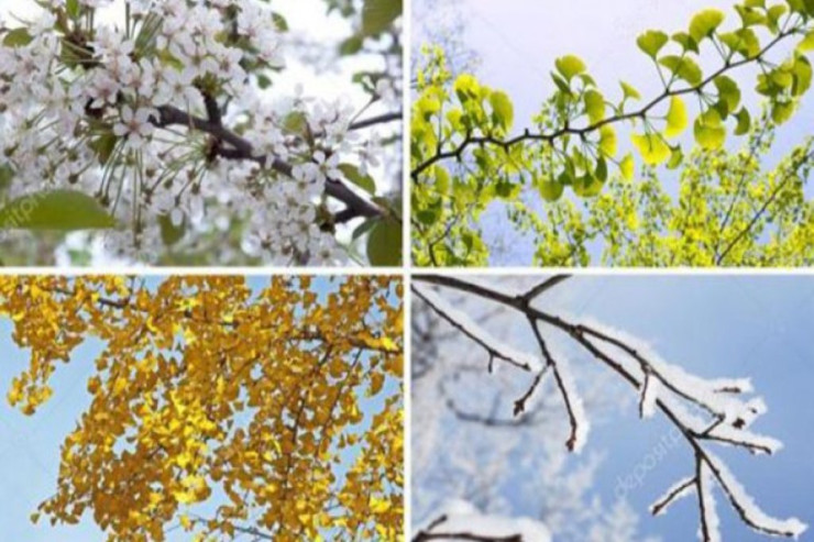 Digər planetlərdə  yaz, yay, payız və qış   fəsilləri varmı?  - CAVAB  