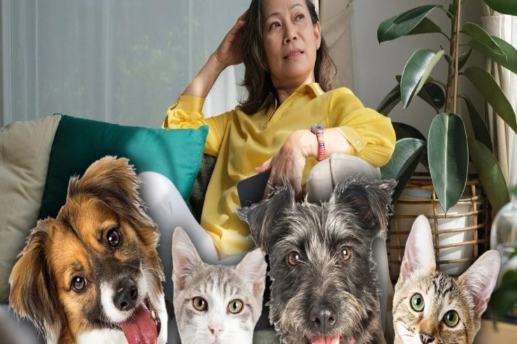 Qadın sərvətini  pişik və itlərinə   vəsiyyət etdi –  ŞOK SƏBƏB  