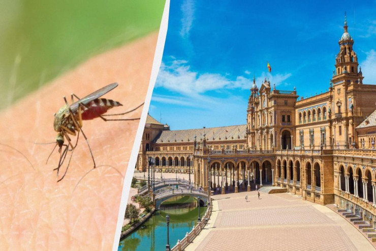 Turistlərə xəbərdarlıq -  İspaniya və İtaliyada  ölümcül virus yayıla bilər