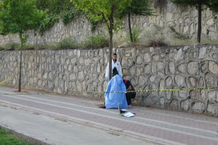 İş adamının  ağacdan asılmış meyiti   tapıldı