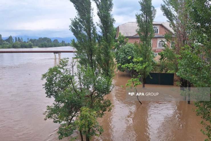 Lənkəranda evlərin həyətinə su dolub -FOTOLENT  -VİDEO 