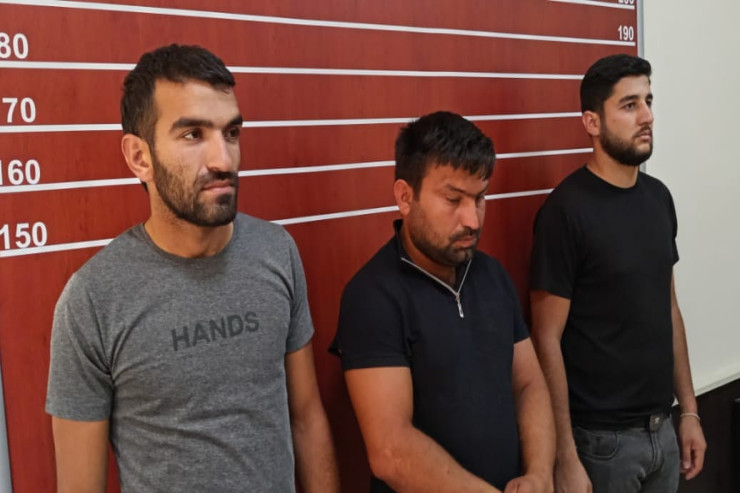 Hacıqabulda altı fermadan oğurluq edən DƏSTƏ SAXLANILDI 