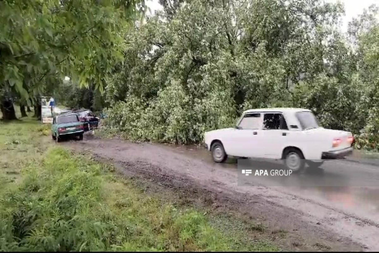 Qəbələya yağan leysan fəsadlar törətdi, yollar bağlandı - FOTO 