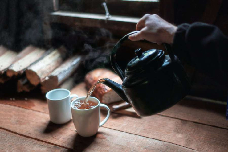 Çayın dadı çay kollarının kökündəki bakteriyalardan asılıdır