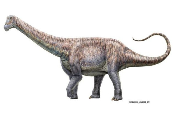 Yeni dinozavr qalıqları tapıldı