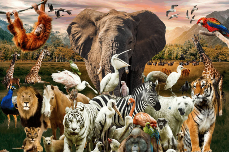 İnsanın yalanını  tanıya bilən heyvanlar