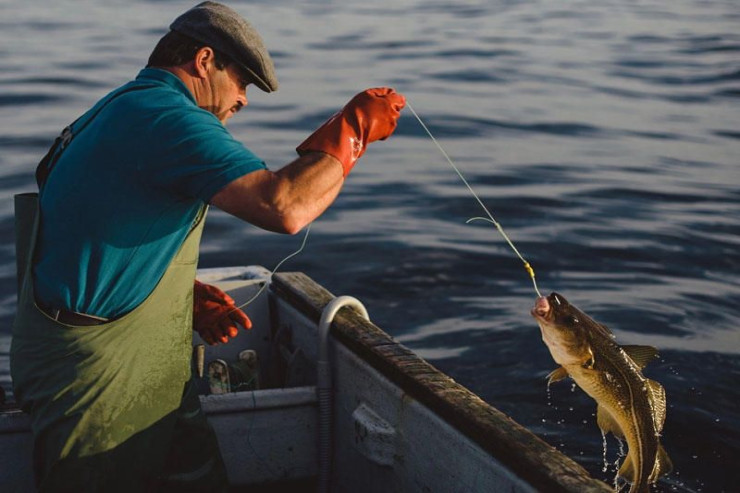 Balıq tutmaq  sağlamlığınız üçün   FAYDALIDIR