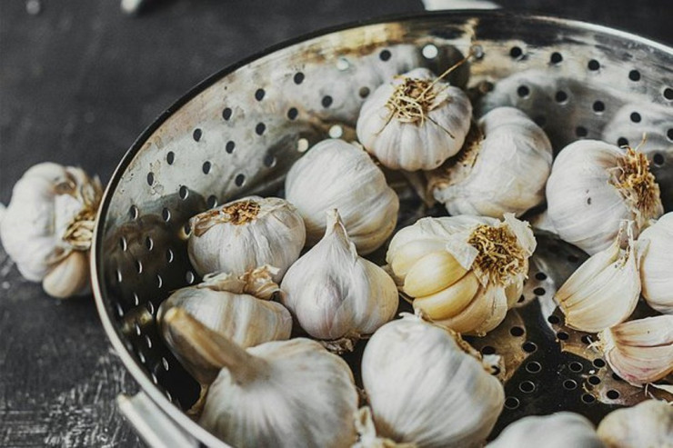 Sarımsaq yedikdən sonra qoxudan qurtulmağın YOLLARI 