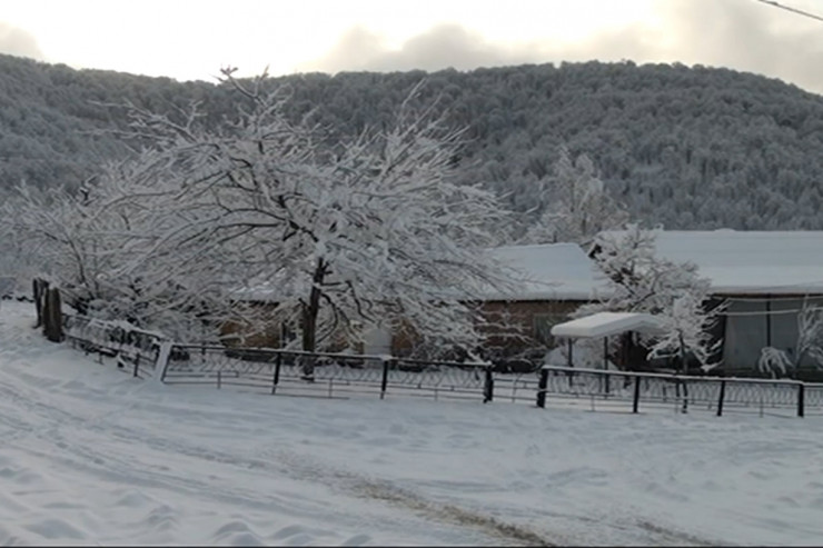 Zaqatalaya 38 sm qar  yağdı - FAKTİKİ HAVA