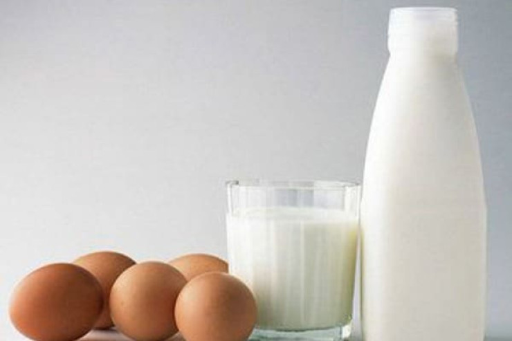 Həkim yumurta və südün  faydalarından danışdı