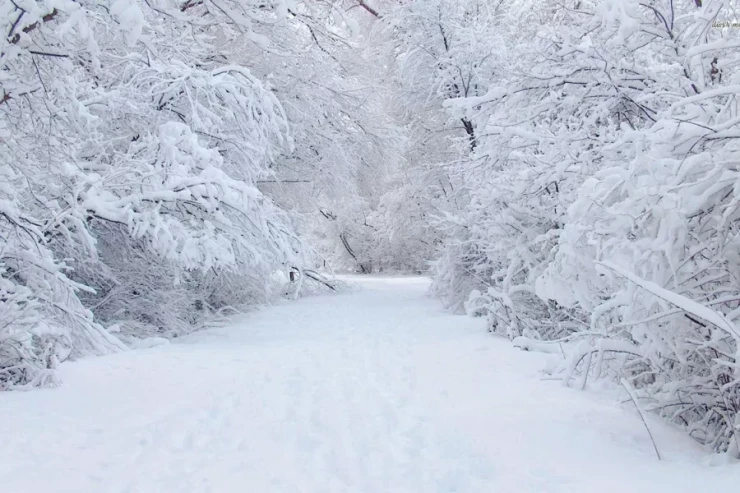 Bu rayonlara qar yağdı - FAKTİKİ HAVA 