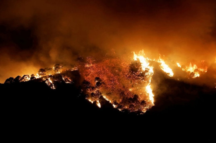 Meşə yanğınında minlərlə insan köçürüldü