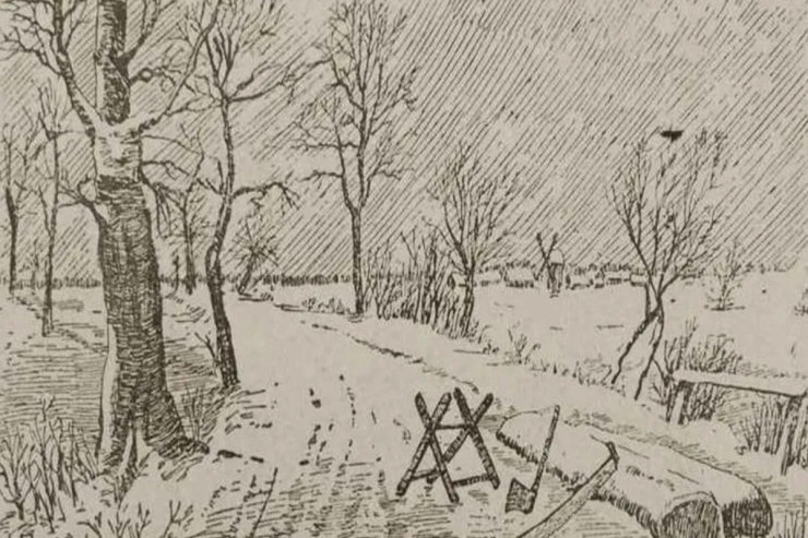  DİQQƏT:   7 saniyəyə meşədəki adamı tapın - FOTO 