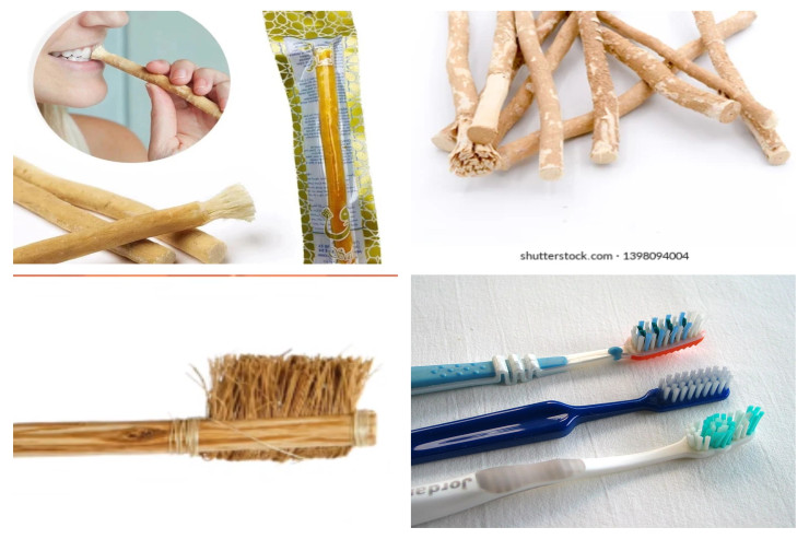 Donuz tükündən və süpürgədən başlayan yol - Diş fırçası Belə Yaranıb 