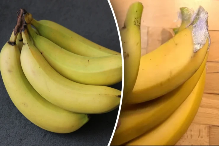 Bananı iki həftə  təzə saxlamağın    ASAN YOLU