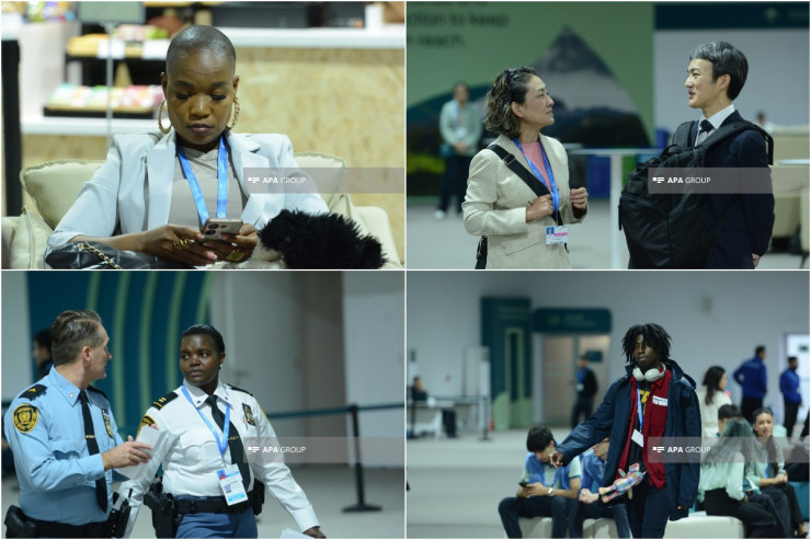 COP29-da dördüncü gün - FOTOLENT