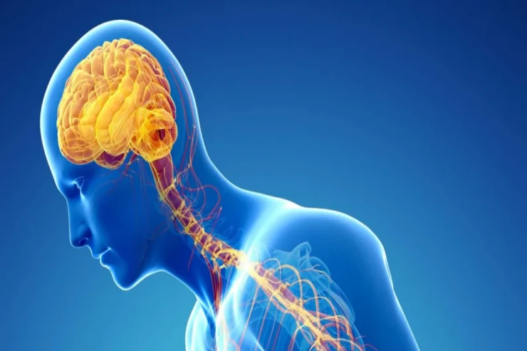 Psixoloji dəstək və fiziki aktivlik Parkinson xəstəliyi ilə bağlı VACİB MƏQAMLAR 