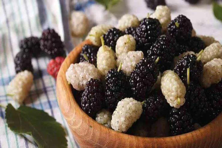 Yuxuda tut  görmək nə deməkdir?