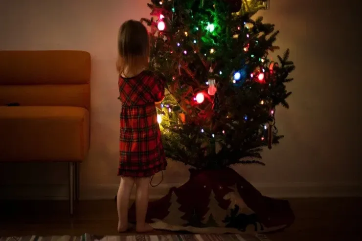 Şam ağacınızı bura qoymayın:  Evinizdə təhlükə yaradan  üç yer