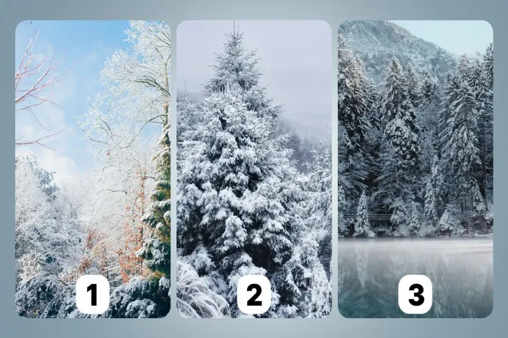 Şəxsiyyət TESTİ:  Tale sizi hara aparır  - Hansı mənzərəni seçəcəksiniz?  