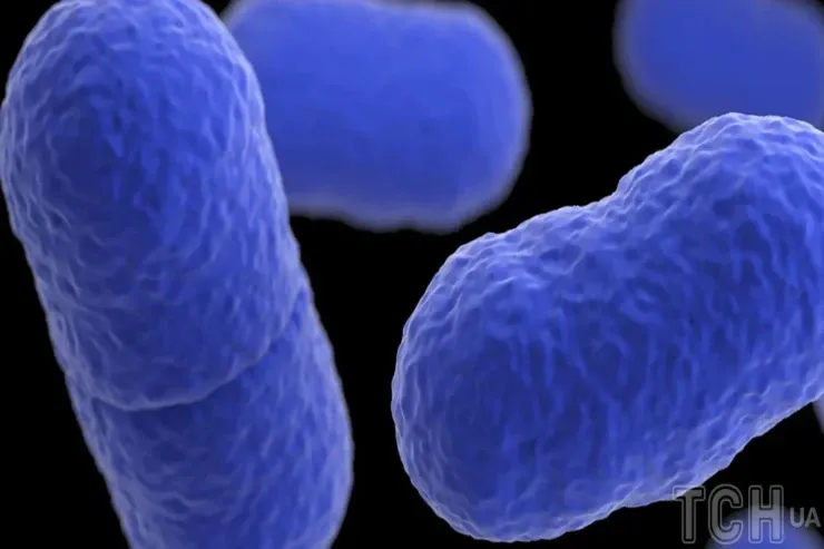 Təyyarələr və xəstəxanalardakı hava eyni dərəcədə  çirklidir - Təfərrüatlar  