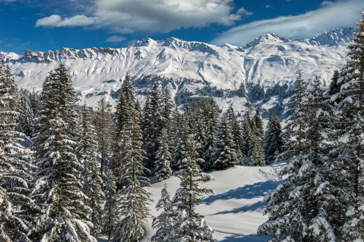 Qar yağacaq, yağış leysana dönəcək - Sabahın HAVASI 