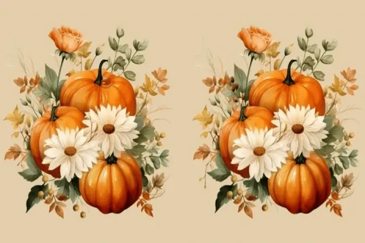 23 saniyədə dörd fərqi tapın:  İnsanların yalnız 1 faizi bu tapmacanı həll edə bilər 