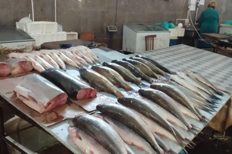 Balıq bazarında QİYMƏTLƏR  -VİDEO 