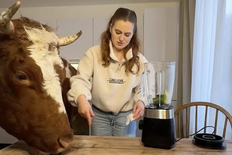 Bu qız  inəyi evində   saxlayır